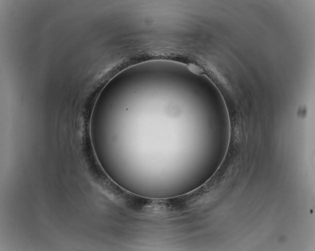 X0000091520211200708171223