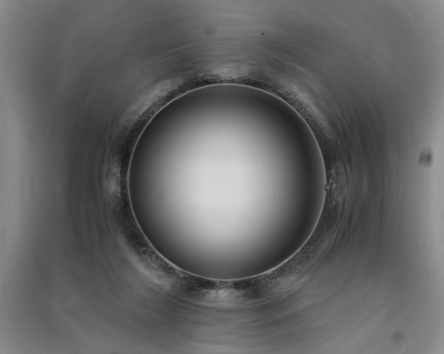 X0000091520212200708171223