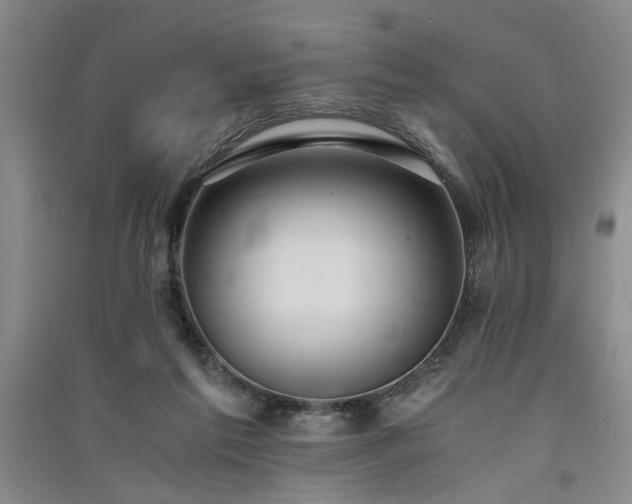 X0000091520213200708171223