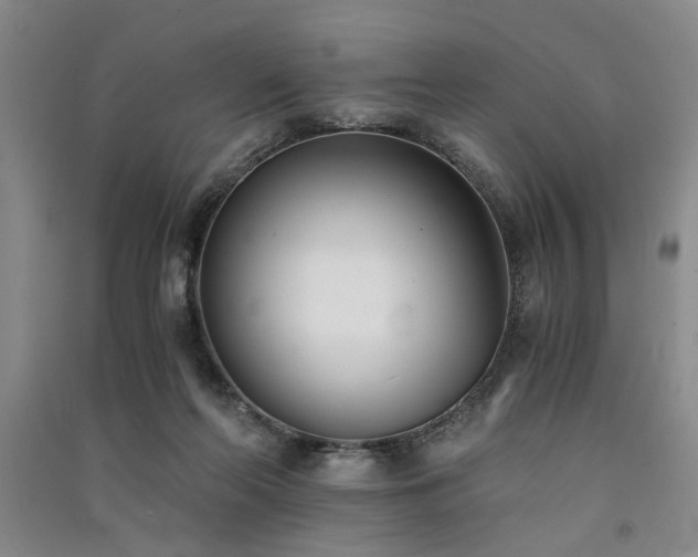 X0000091520214200708171223