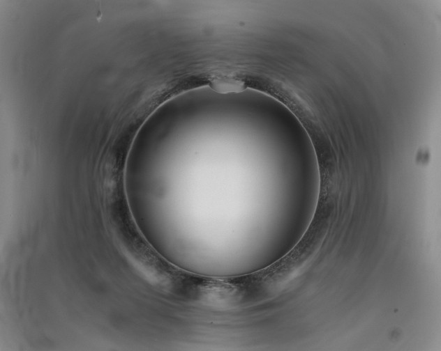 X0000091520215200708171223