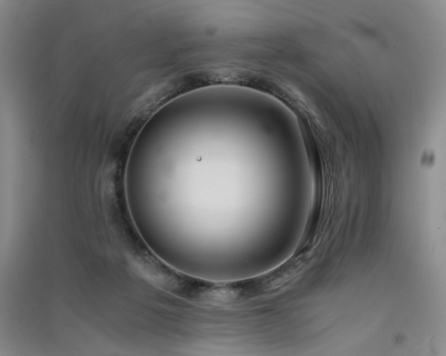 X0000091520217200708171223
