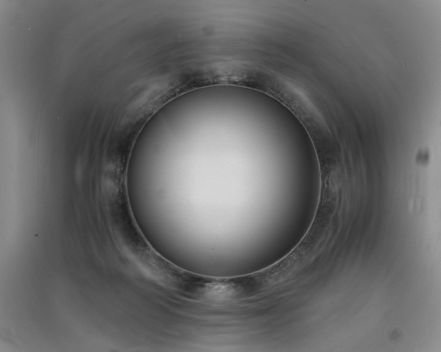 X0000091520218200708171223