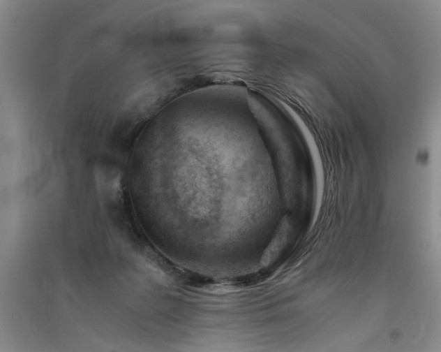 X0000091520219200708171223