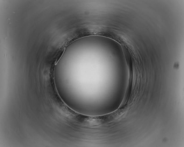 X0000091520221200708171223