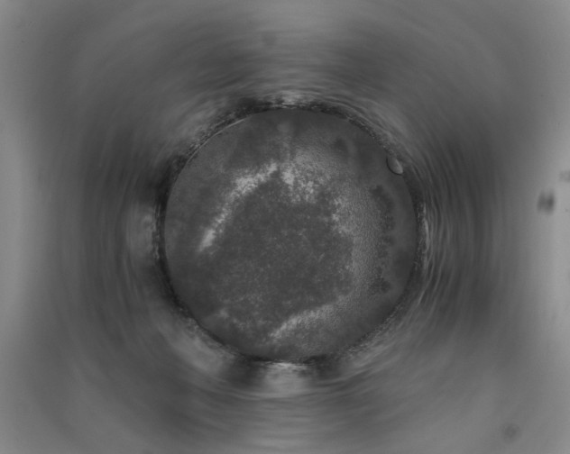 X0000091520222200708171223
