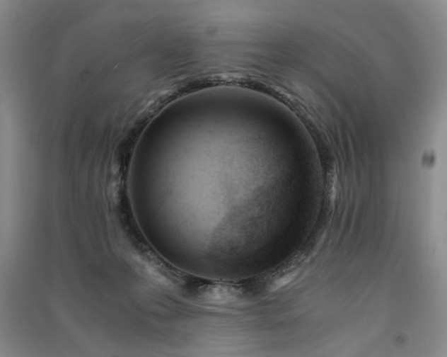X0000091520223200708171223