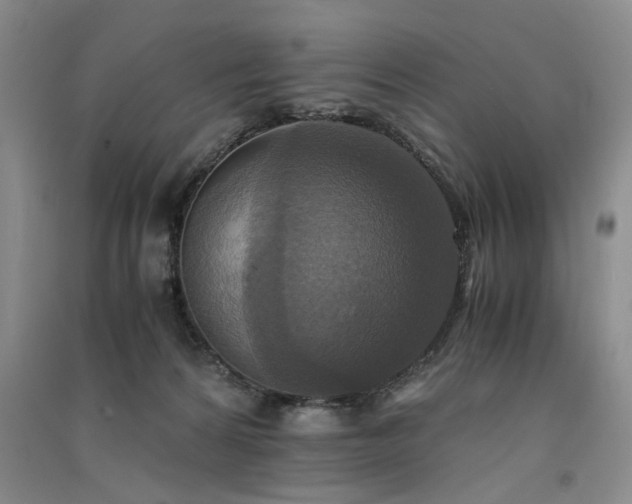 X0000091520224200708171223