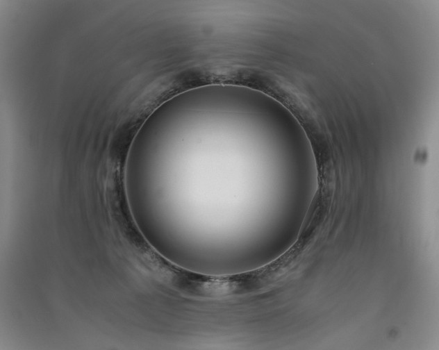 X0000091520225200708171223