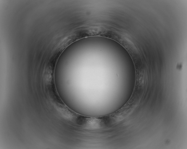 X0000091520226200708171223