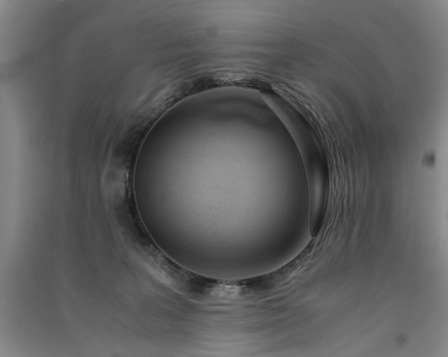 X0000091520227200708171223
