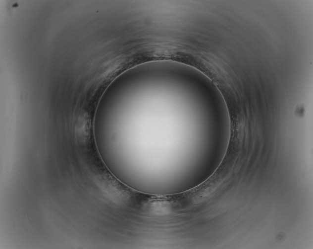 X0000091520228200708171223