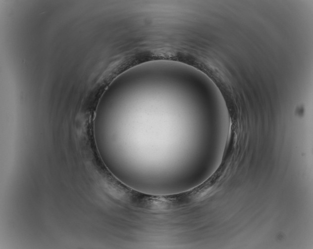X0000091520229200708171223