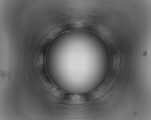 X0000091520230200708171223