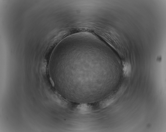 X0000091520231200708171223