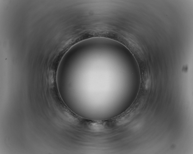 X0000091520232200708171223