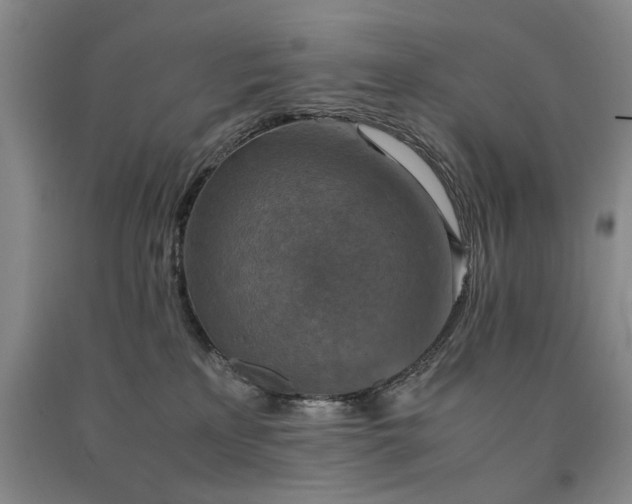 X0000091520233200708171223
