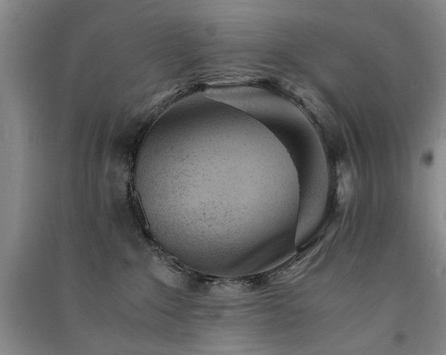 X0000091520235200708171223