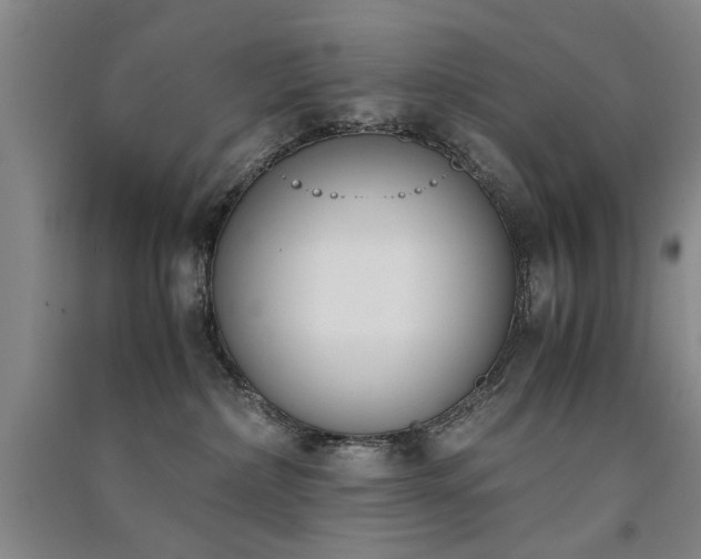 X0000091520236200708171223