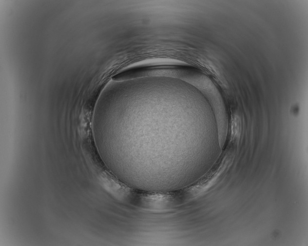 X0000091520237200708171223
