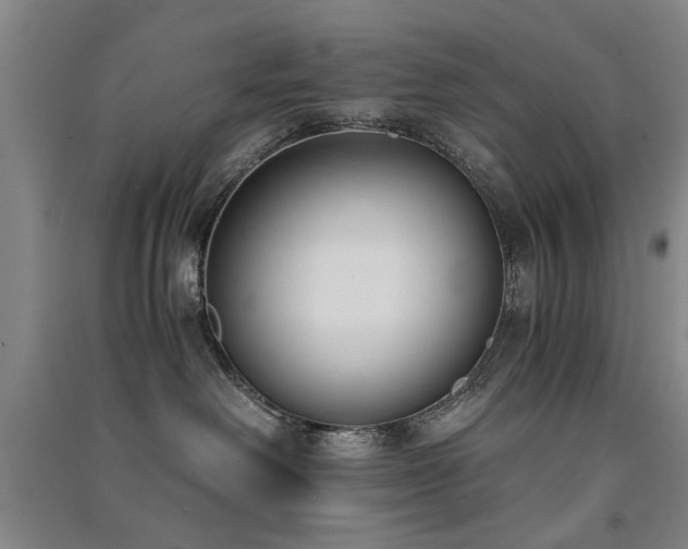 X0000091520238200708171223