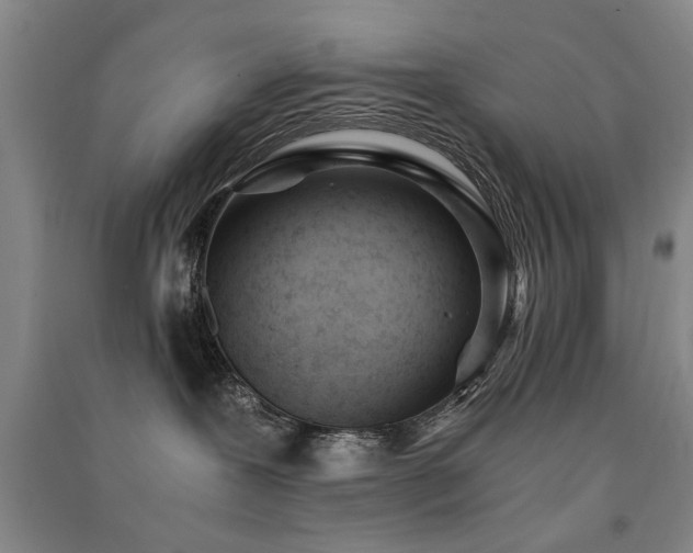 X0000091520239200708171223
