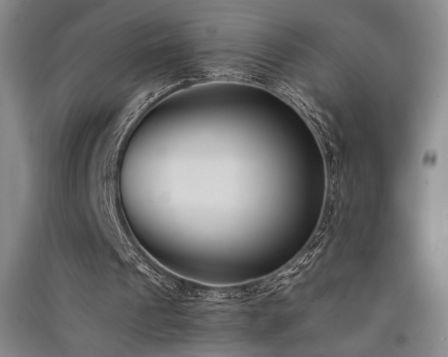 X0000091520241200708171222