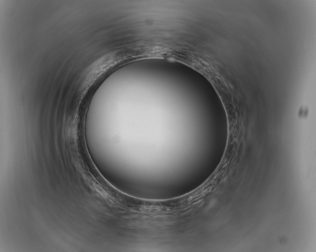 X0000091520242200708171222