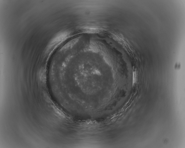 X0000091520243200708171222