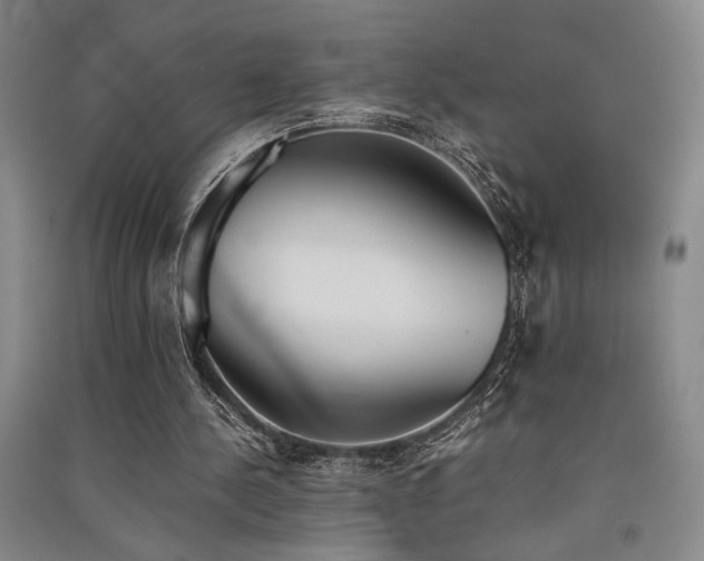 X0000091520244200708171222