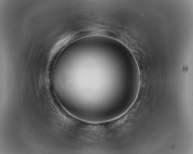 X0000091520245200708171222