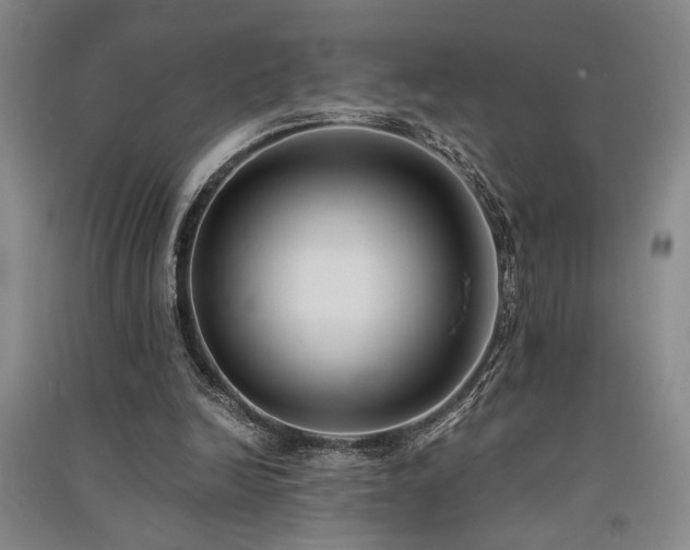 X0000091520246200708171222
