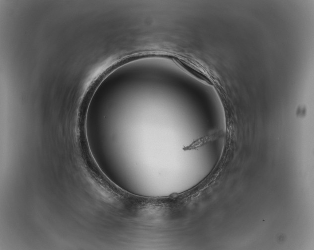 X0000091520248200708171222