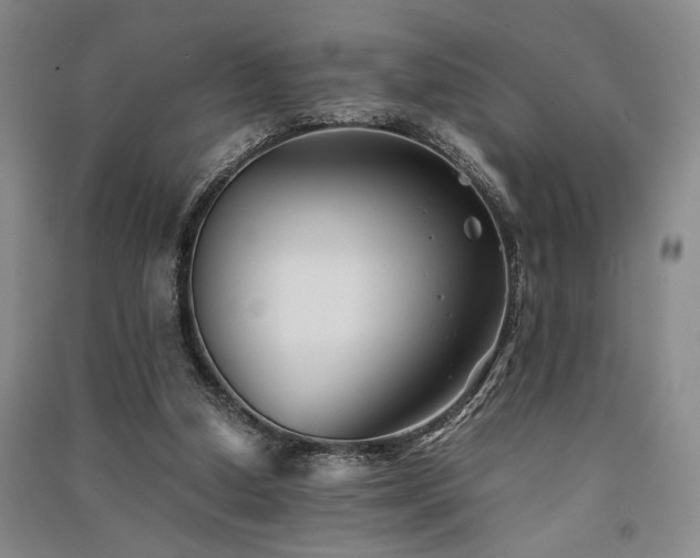 X0000091520250200708171222