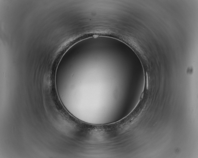 X0000091520252200708171222