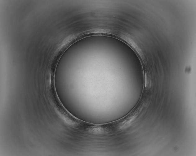 X0000091520253200708171222