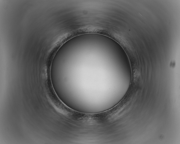 X0000091520254200708171222