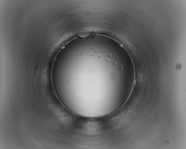 X0000091520256200708171222