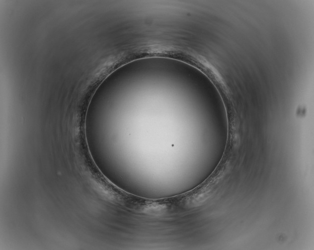 X0000091520257200708171222