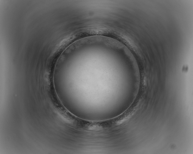 X0000091520258200708171222