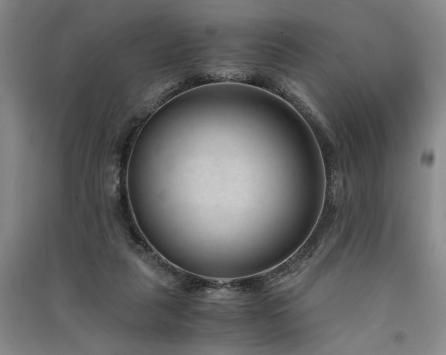 X0000091520259200708171222