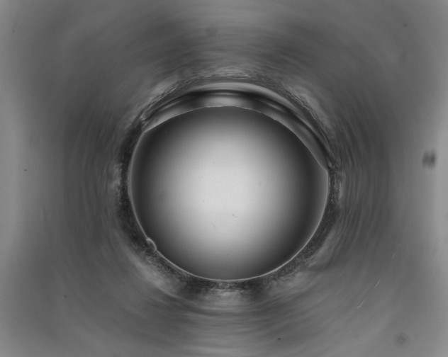 X0000091520260200708171222