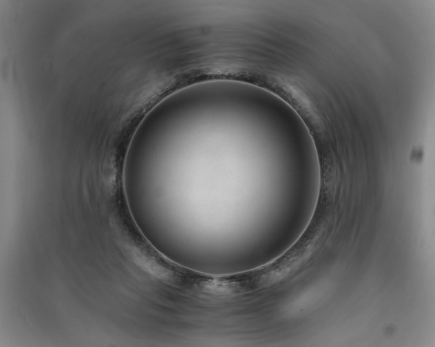 X0000091520261200708171222