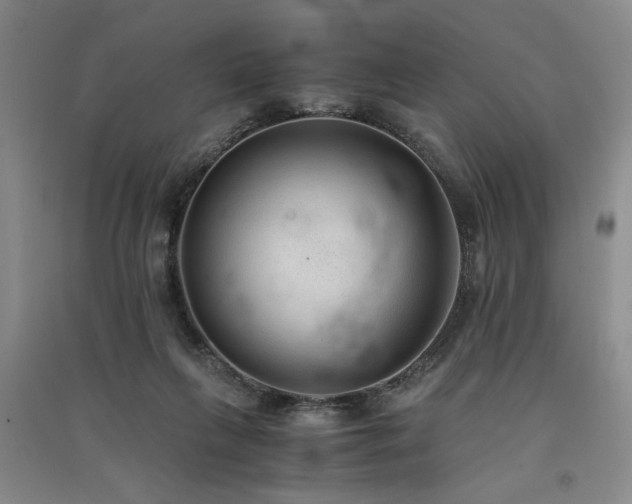 X0000091520263200708171222