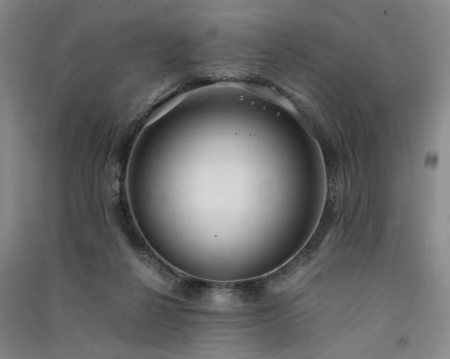 X0000091520264200708171222