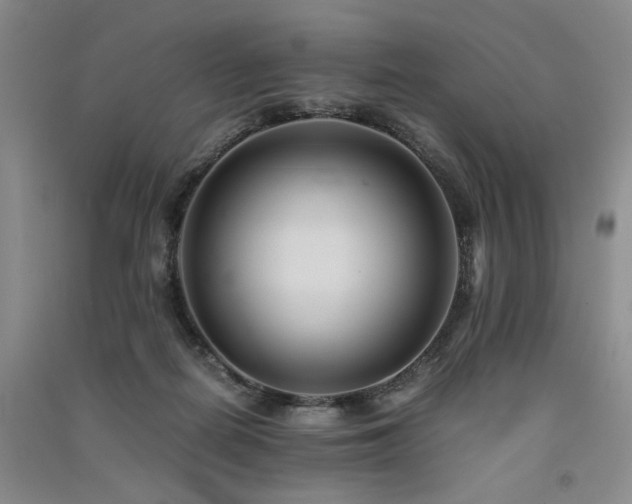 X0000091520266200708171222