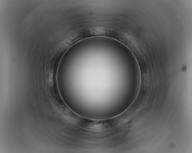 X0000091520267200708171222
