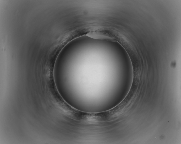 X0000091520268200708171222