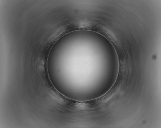 X0000091520269200708171222