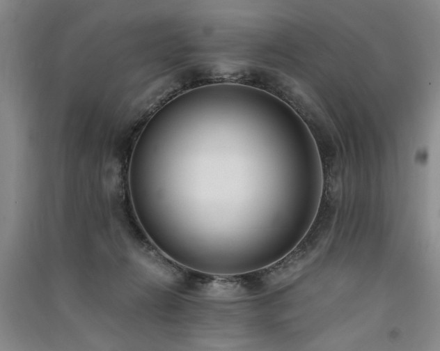 X0000091520270200708171222